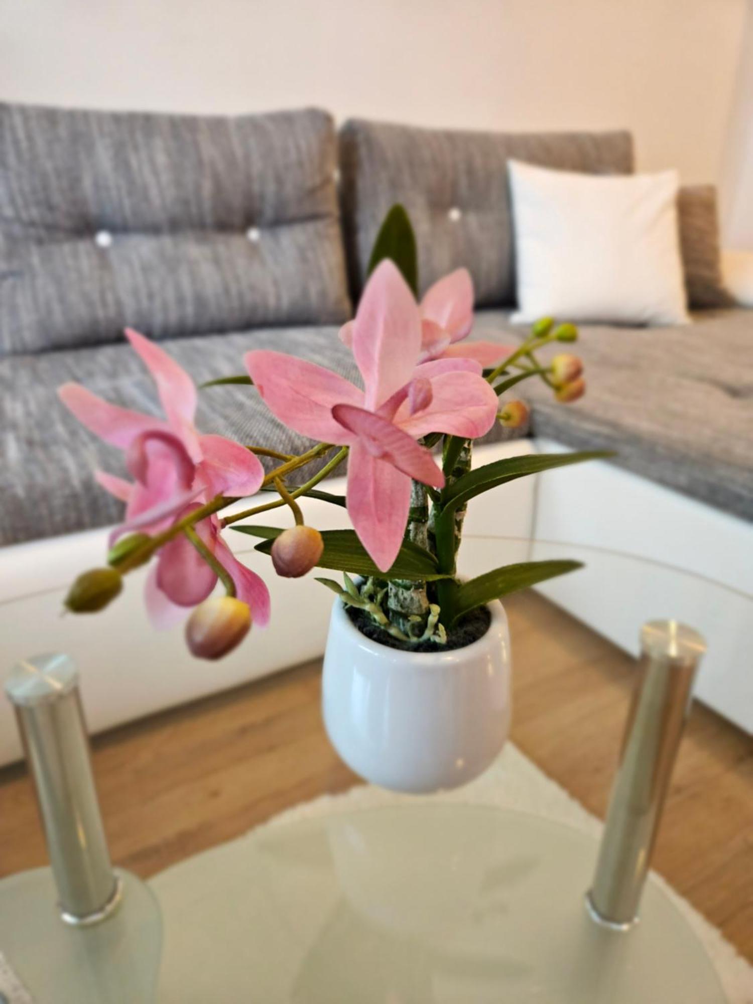 Apartment Zoya 크라니스카고라 외부 사진