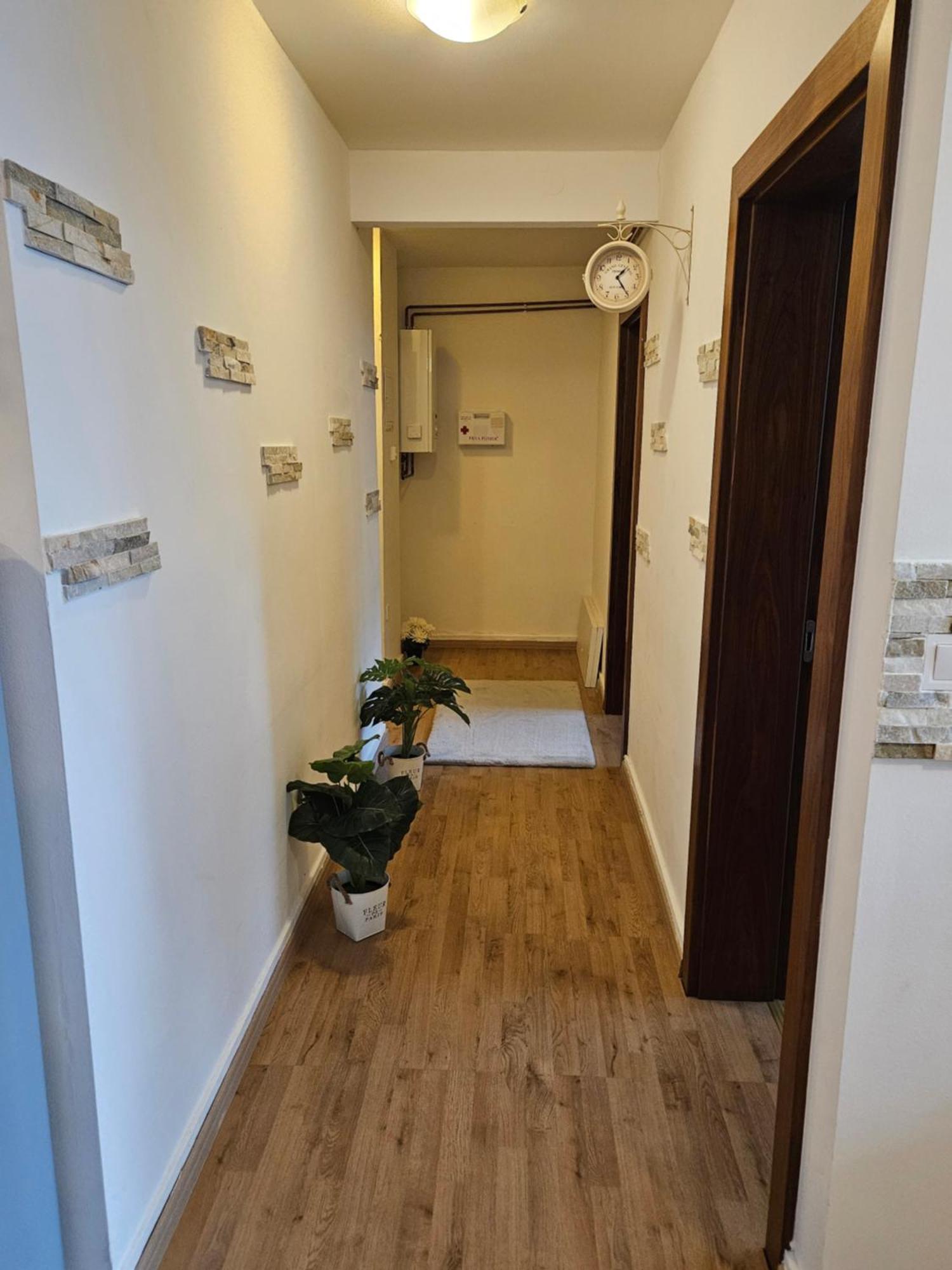 Apartment Zoya 크라니스카고라 외부 사진